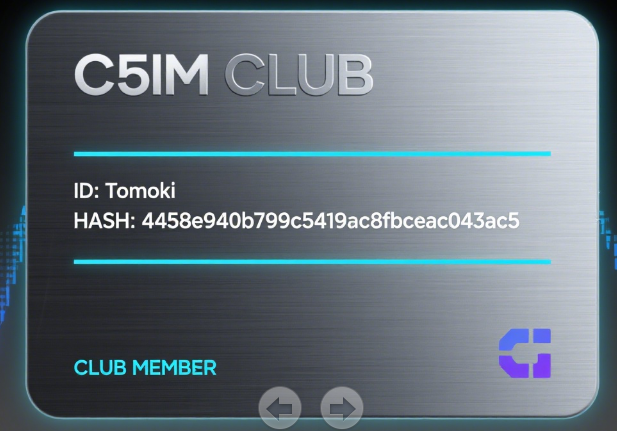 image-20251012111455539